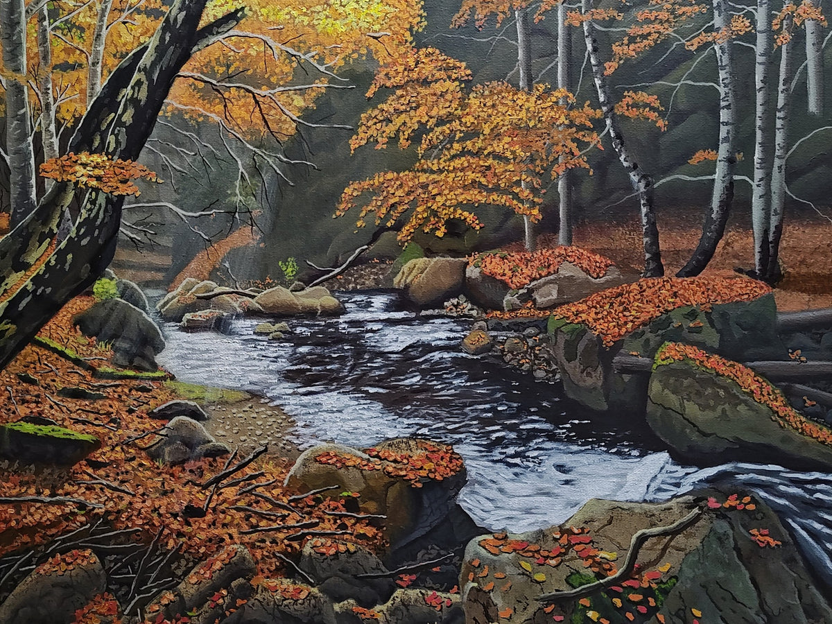 Woodland Stream Fall