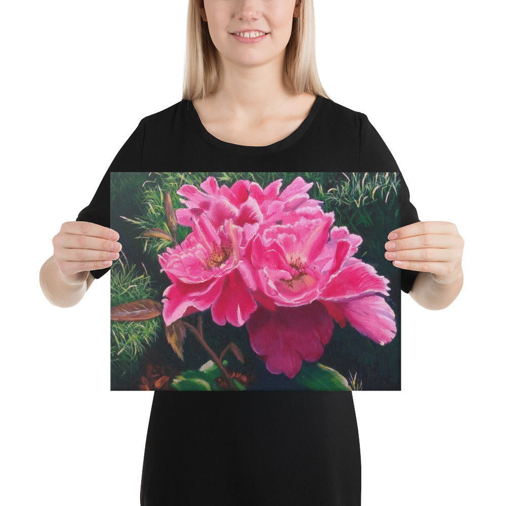 Rose in June Unframed Canvas Print 2