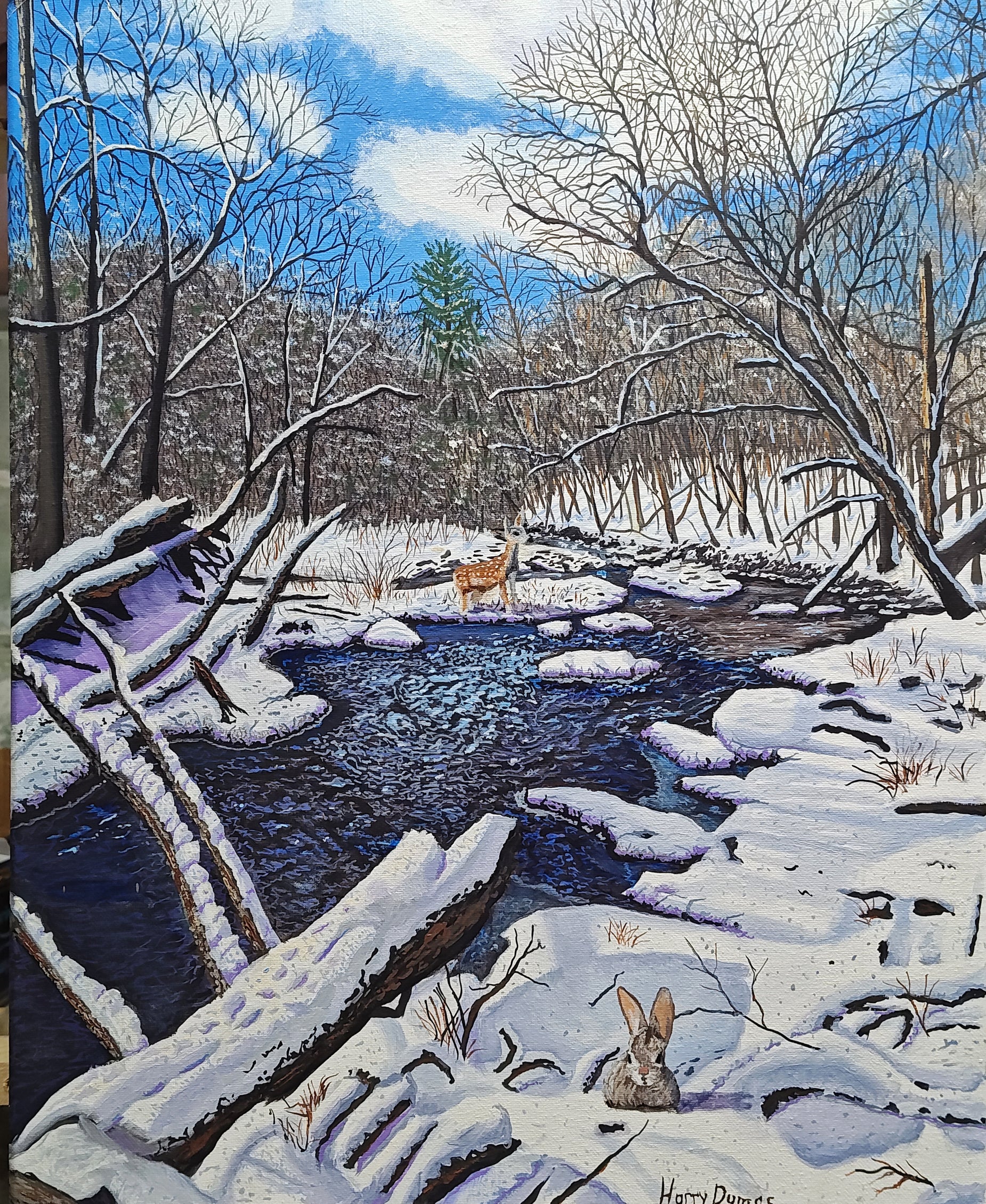 Mill River in Winter