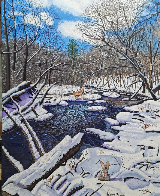 Mill River in Winter