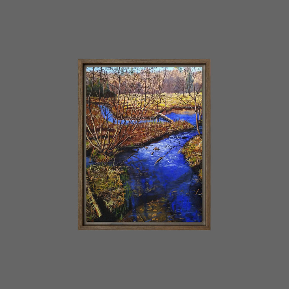 Bray Lake Tributary Framed canvas Print