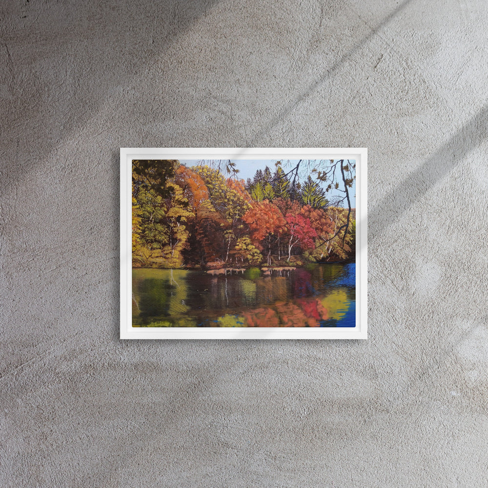 Color Across the Pond Framed Canvas Print