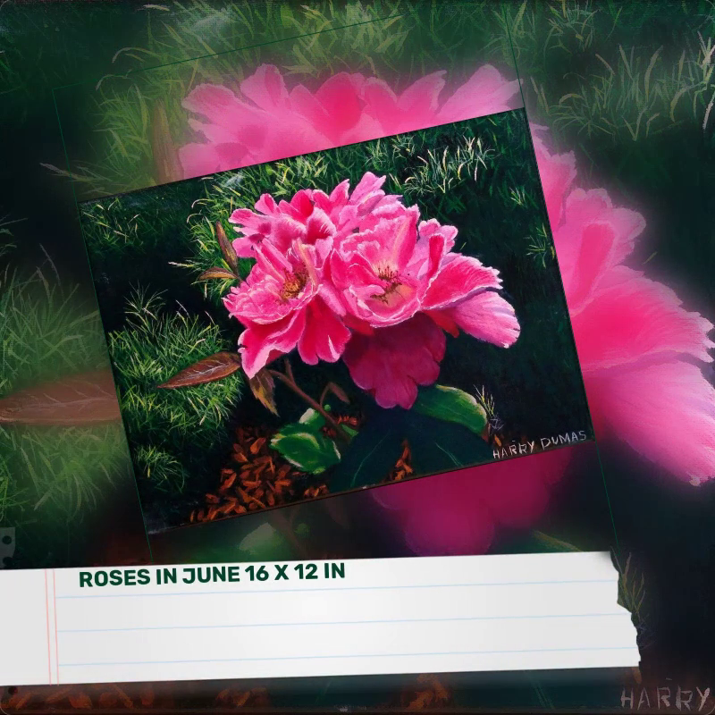 Roses in June 16 x 12 in by@Outfy