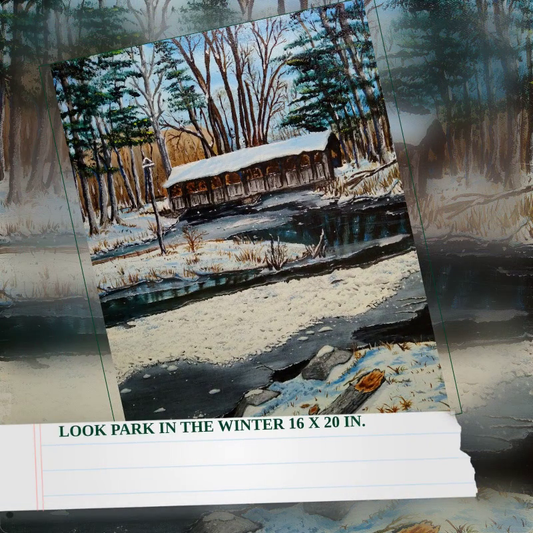 Look Park in the Winter 16 x 20 in. by@Outfy